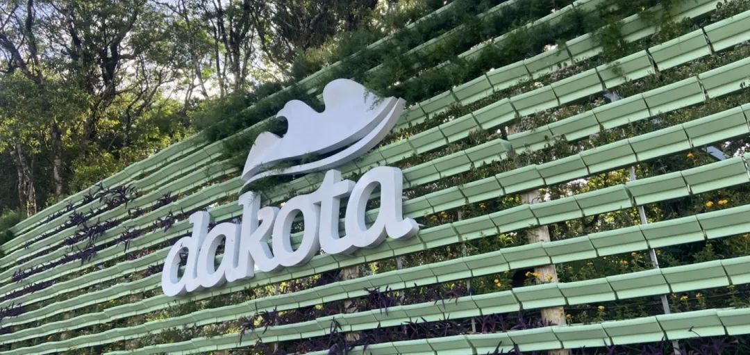 科技使然,至精至敏丨ng28南宫3D打印解决方案为巴西鞋企Dakota解决生产难题