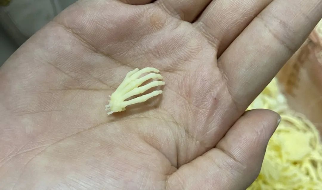 专访∣动漫手办启航圣地：惠州启航叁维科技