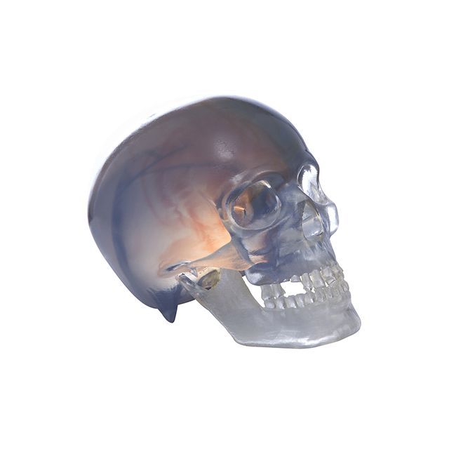 联泰答疑室 | 3D打印,我劝你在医疗行业别这么“嚣张”