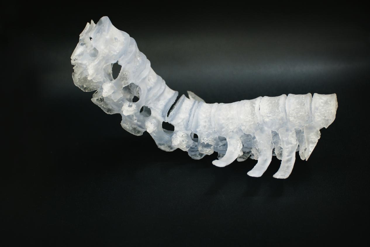 医疗专用3D打印机品牌