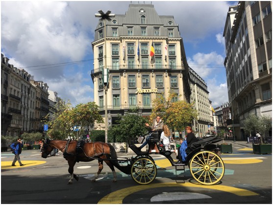 “增材制造•万里行”考察之旅第4日:满载而归08